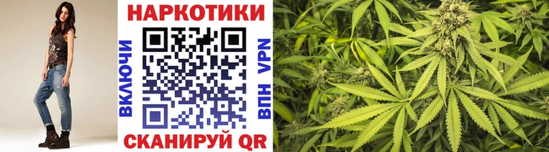 Альфа ПВП Балашиха