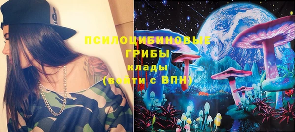 крисы Алексин