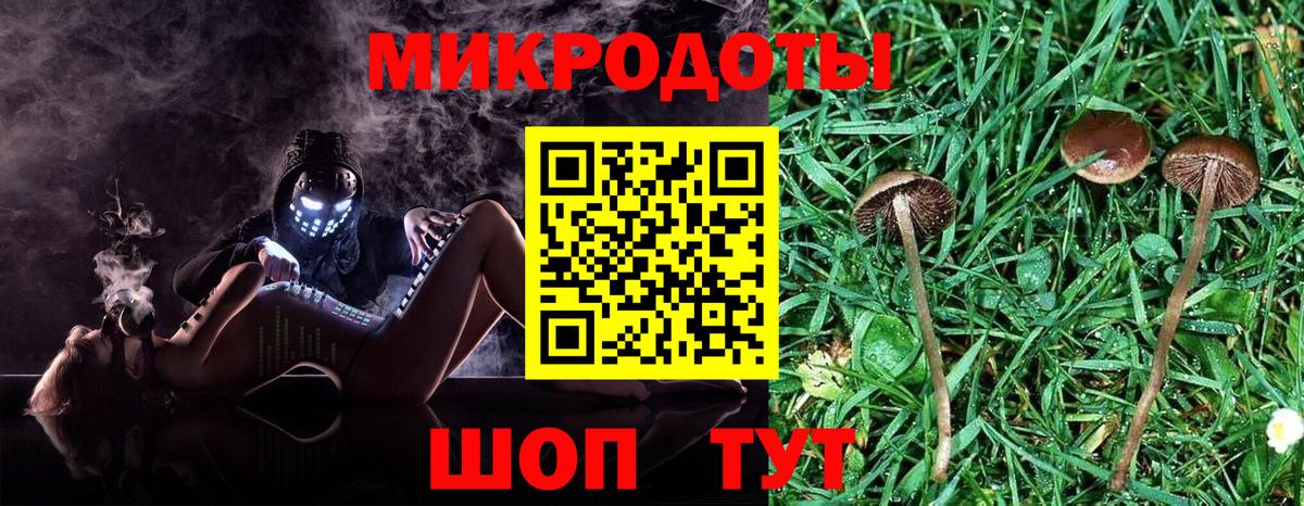 Балашиха  Галлюциногенные грибы прущие грибы  Вход с VPN 