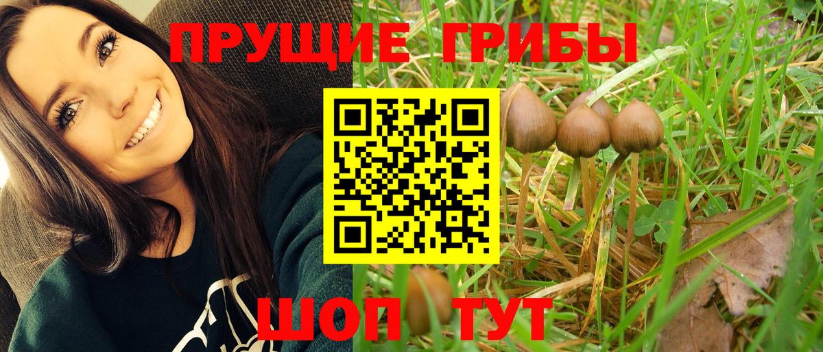 Галлюциногенные грибы прущие грибы Балашиха